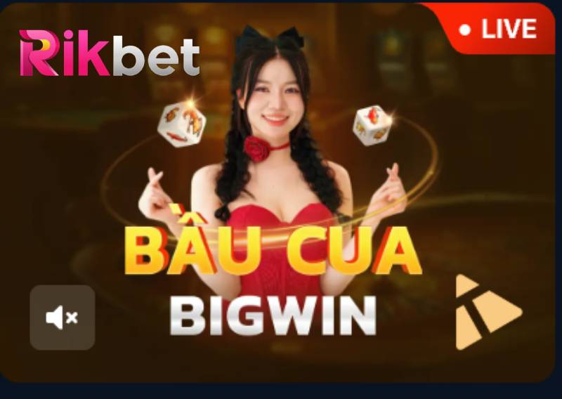 Bầu Cua Bigwin Rikbet - Cách Chơi Và Những Điều Cần Biết 1 Bau Cua Bigwin Rikbet Cach Choi Va Nhung Dieu Can Biet