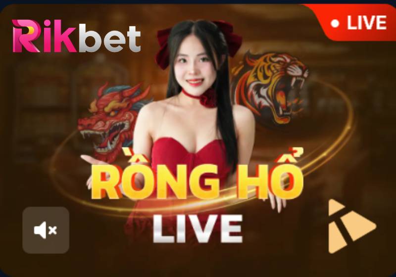 Luật Chơi Dragon Tiger Live Tại Rikbet Kèm Mẹo Chuẩn Chỉ 1 Luật Chơi Dragon Tiger Live Tại Rikbet Kèm Mẹo Chuẩn Chỉ